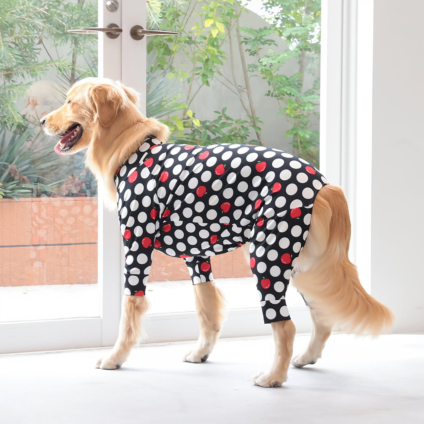 【新入荷】カラフルロンパース アップルドット