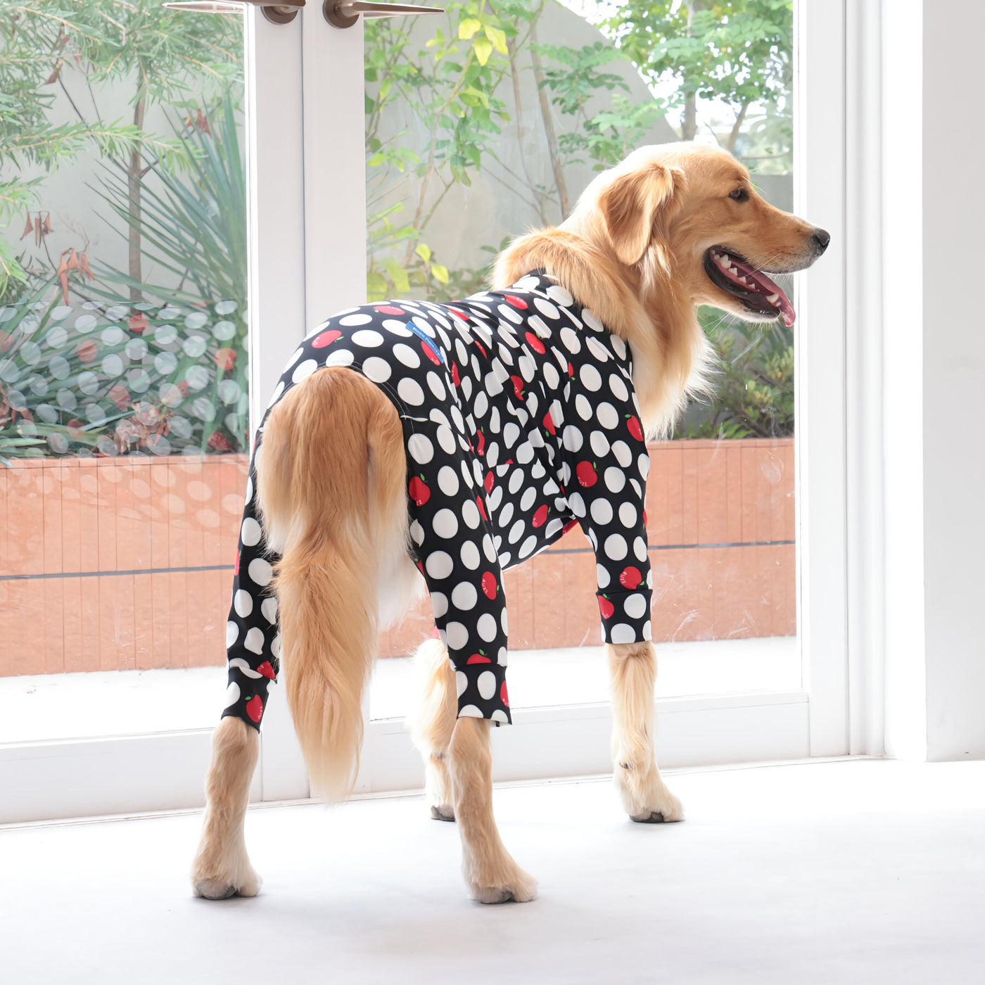 【新入荷】カラフルロンパース アップルドット