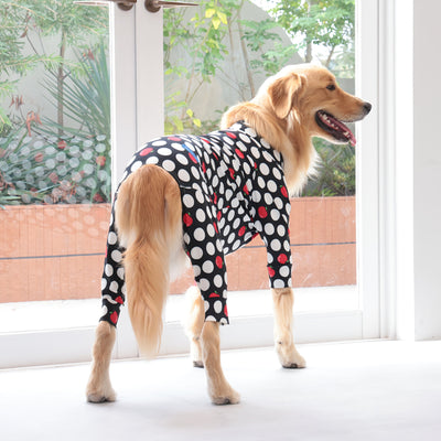 【新入荷】カラフルロンパース アップルドット