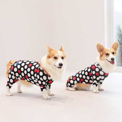 【新入荷】カラフルロンパース 胴長・短足わんちゃん向け