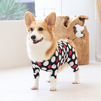 【新入荷】カラフルロンパース 胴長・短足わんちゃん向け