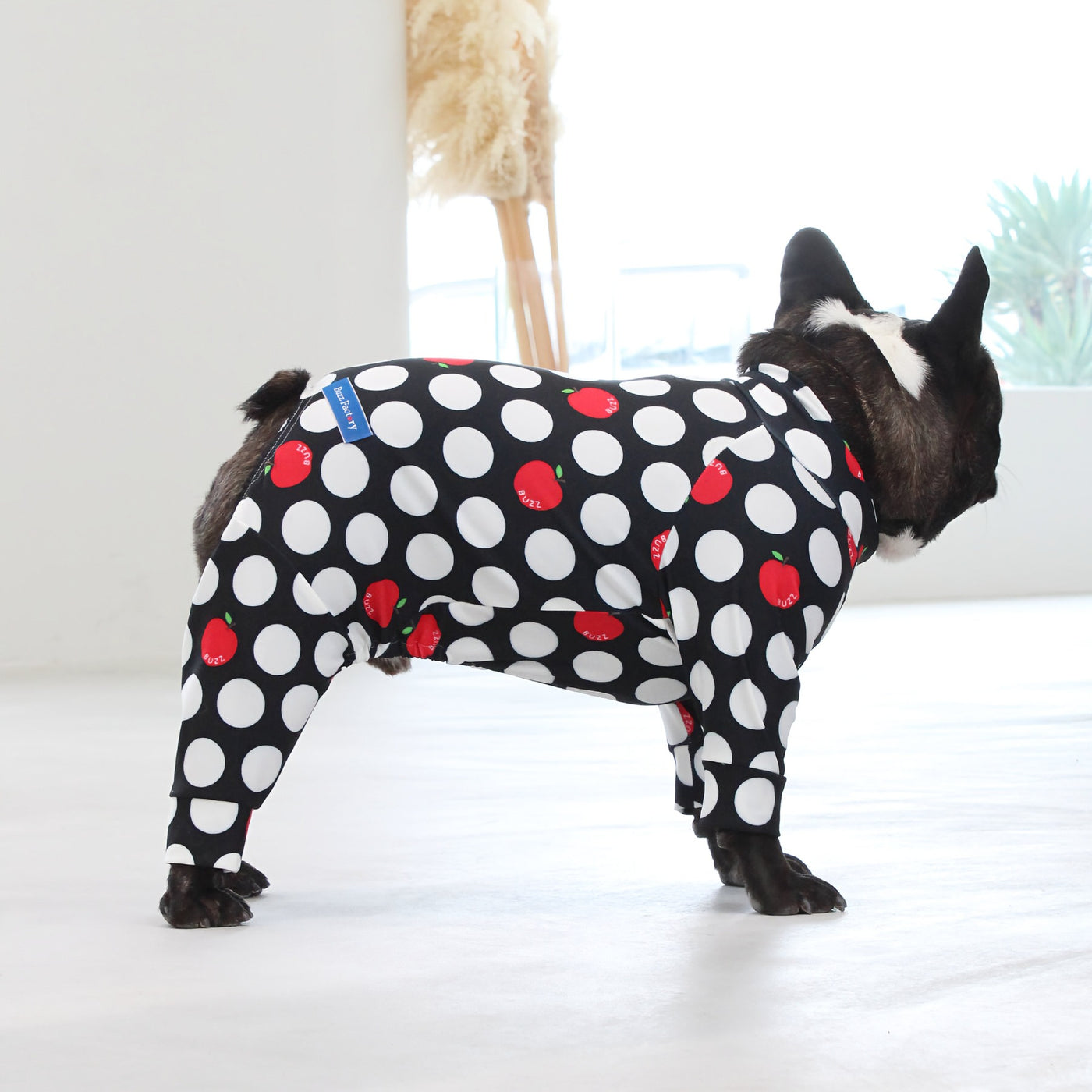 【新入荷】カラフルロンパース アップルドット