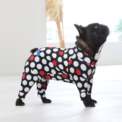 【新入荷】カラフルロンパース アップルドット