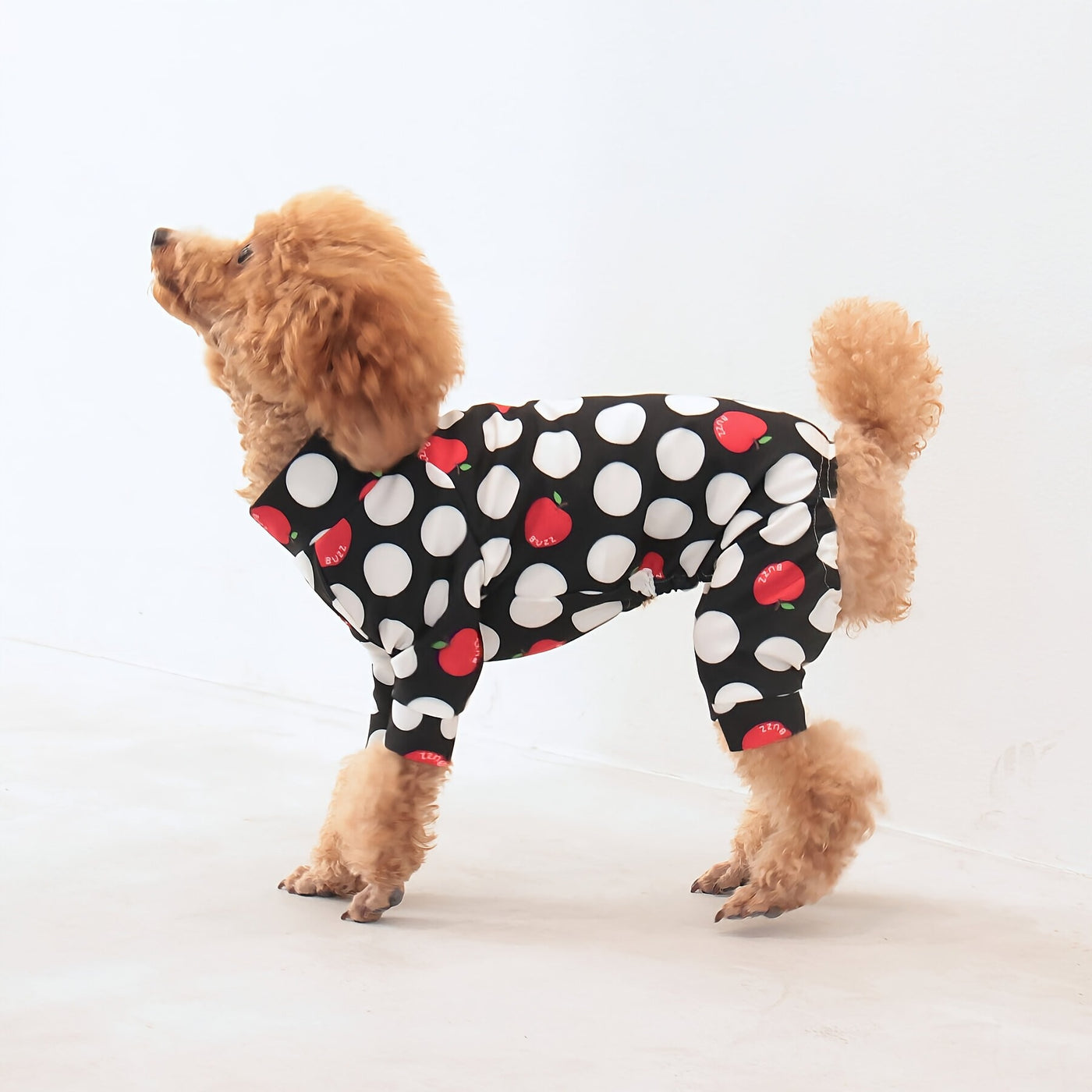 【新入荷】カラフルロンパース アップルドット