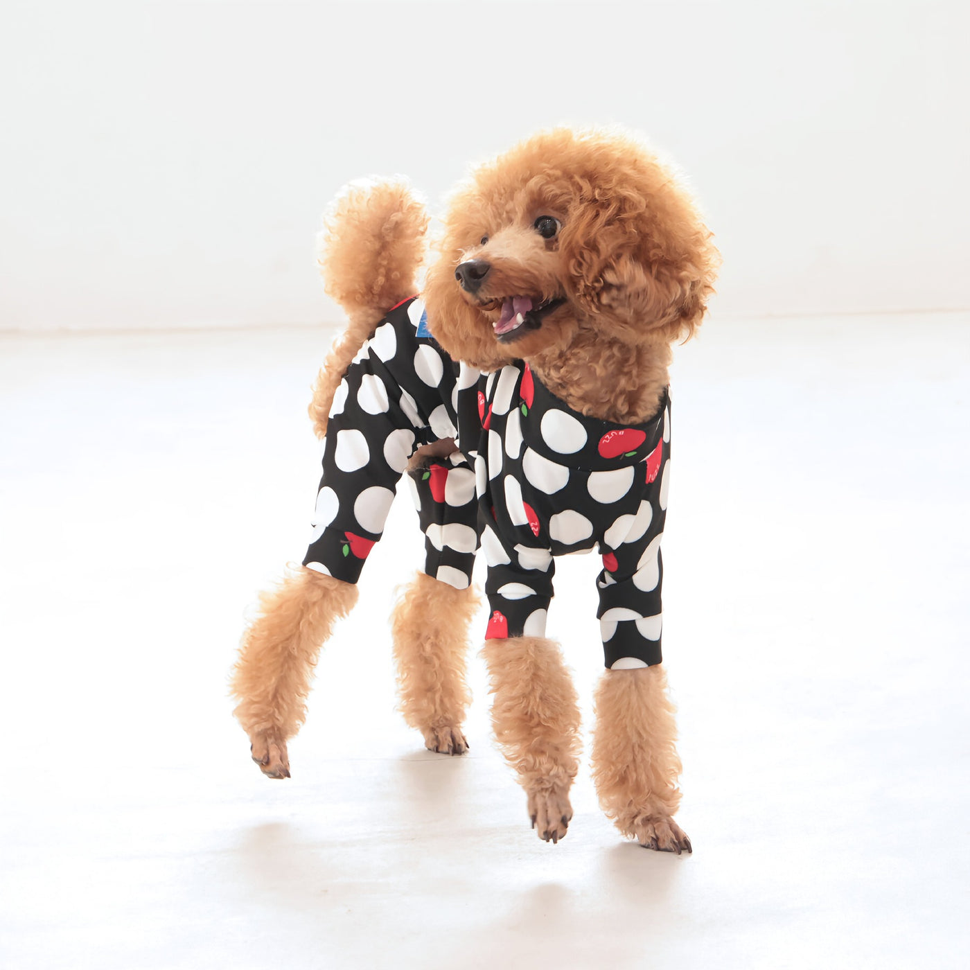 【新入荷】カラフルロンパース アップルドット