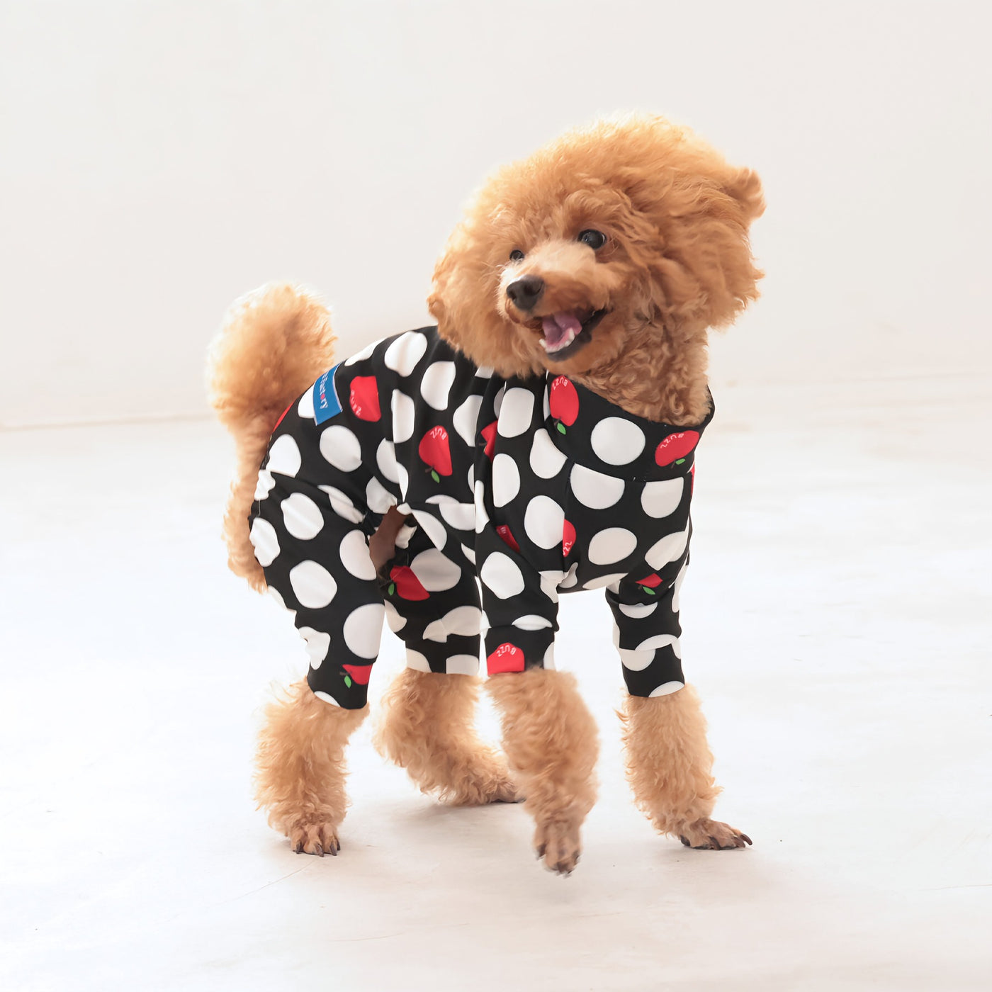 【新入荷】カラフルロンパース アップルドット