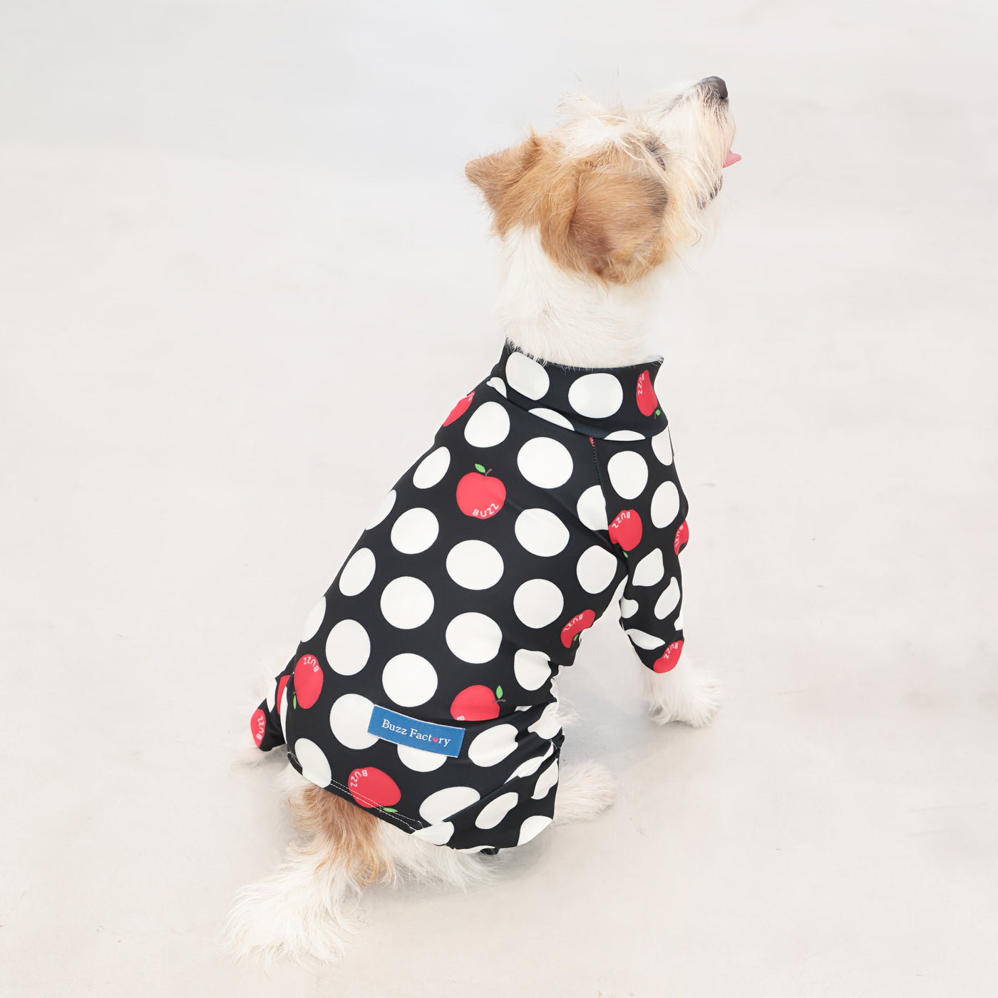 【新入荷】カラフルロンパース アップルドット