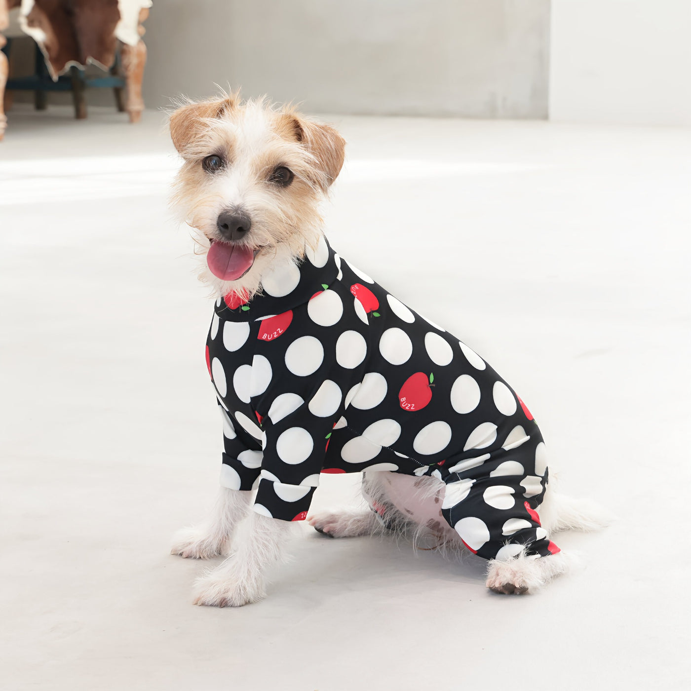 【新入荷】カラフルロンパース アップルドット