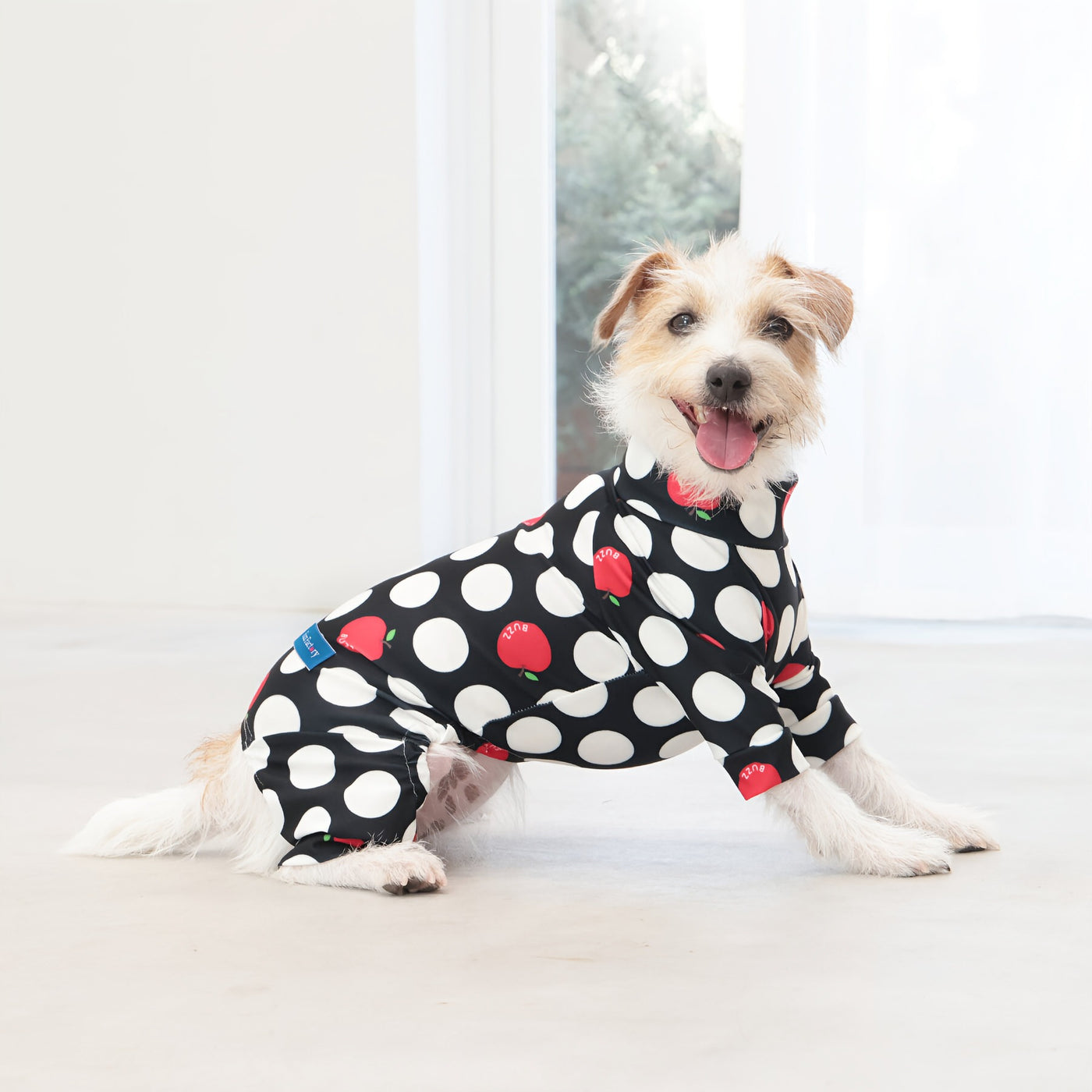 【新入荷】カラフルロンパース アップルドット