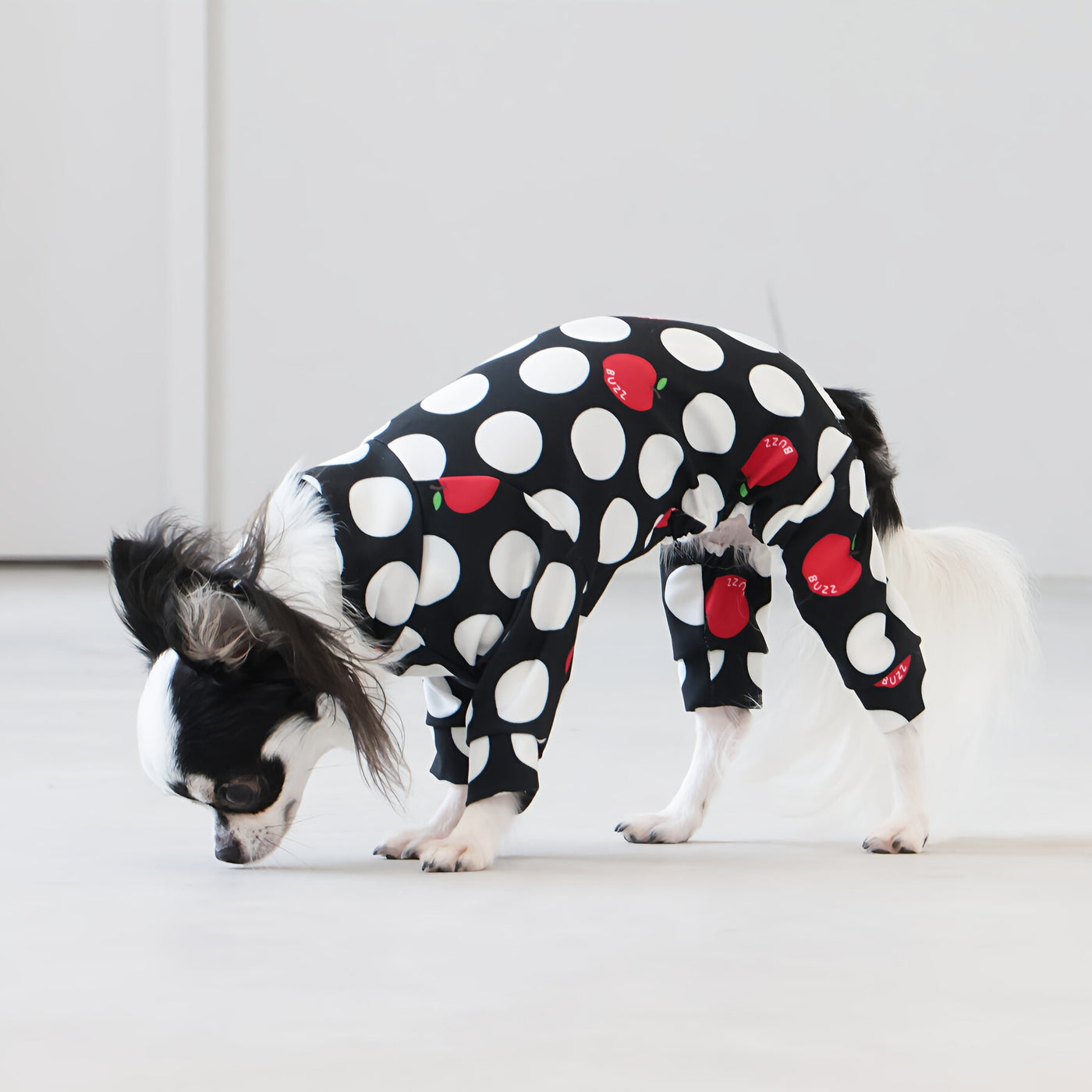 【新入荷】カラフルロンパース アップルドット