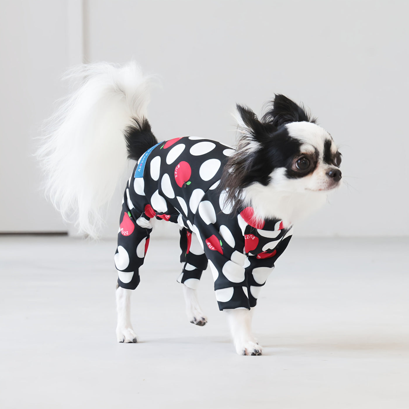 【新入荷】カラフルロンパース アップルドット