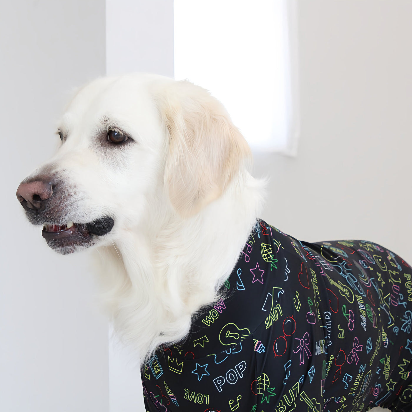 【新入荷】カラフルロンパース ブラックアート